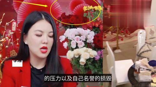名星最新爆料视频播放,最新爆料视频深度解析