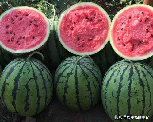 在线吃瓜免费观看
