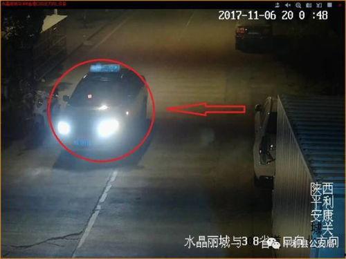 超前爆料寻找药材视频,超前爆料带你探寻神奇药材视频