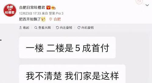 肥西女婿爆料视频,一场家庭纠纷背后的真相