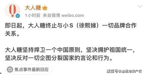 绝对吃瓜小说全文阅读免费,揭秘娱乐圈背后的秘密与真相