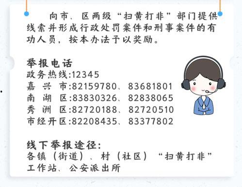 小新爆料视频在线观看免费,揭秘娱乐圈幕后真相