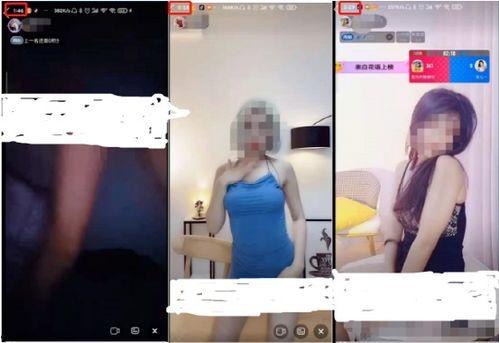 李宗瑞29.7G在线观看,一场网络风暴的真相追踪