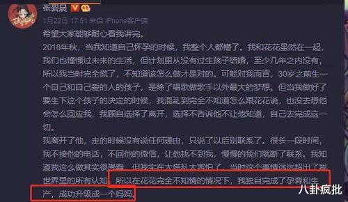 娱乐圈吃瓜Excel,揭秘明星幕后故事与八卦风云